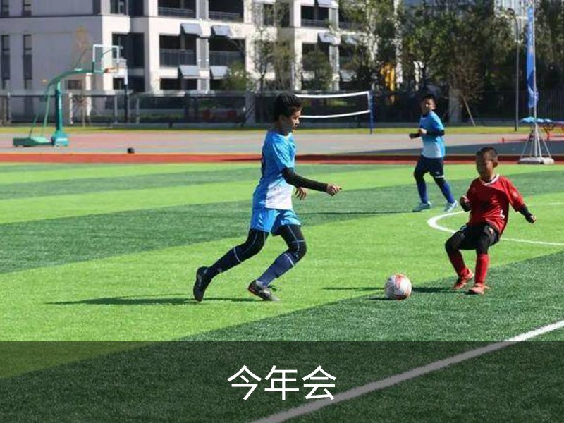 今年会概况