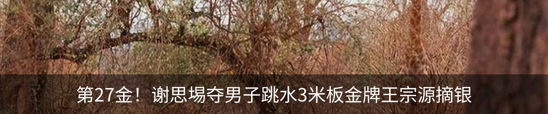 新闻中心